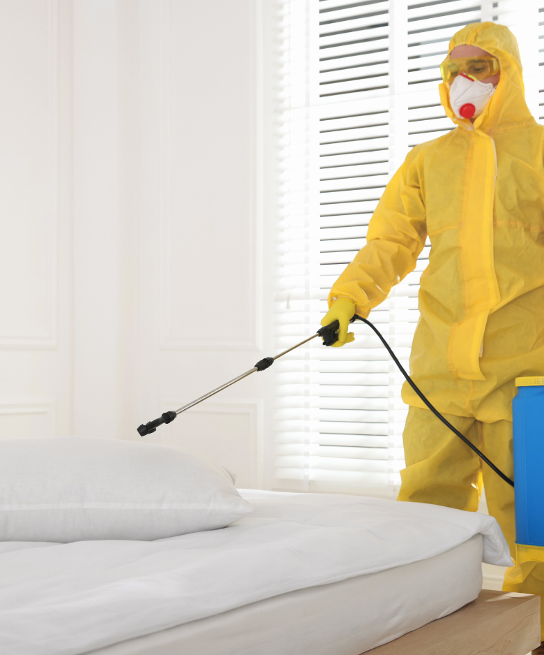 Professional Pest Control Team in Kilburn